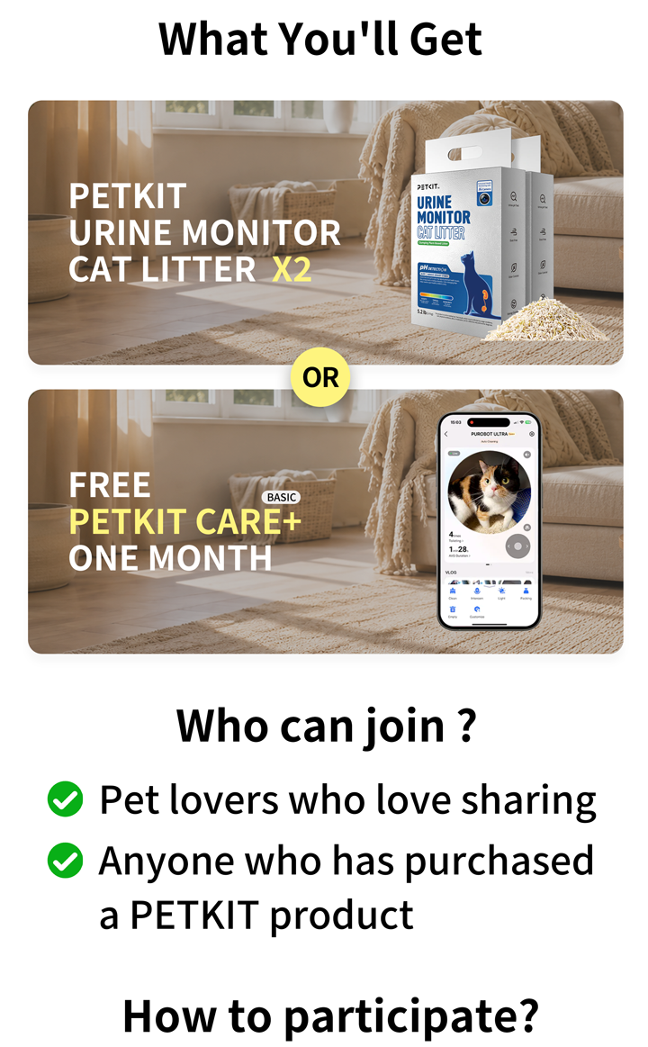 PETKIT campaign middle section